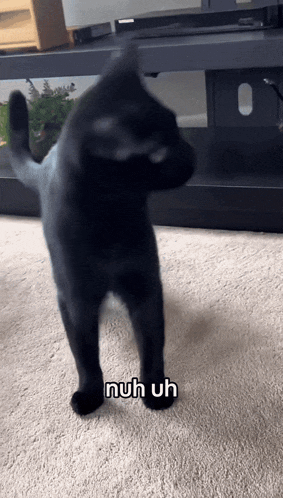 nuh_uh
