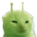 glorp