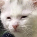 awake_but_at_what_cost