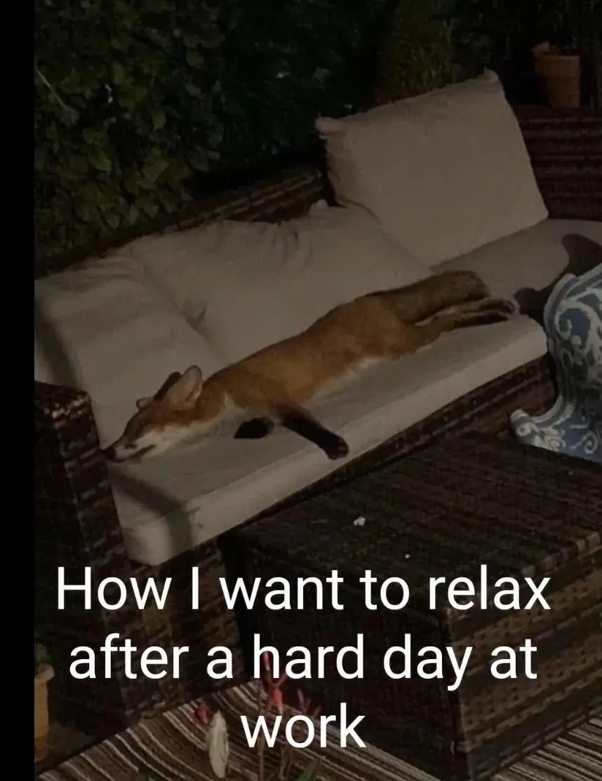 Fox. "How I want to relax after a hard day at work."