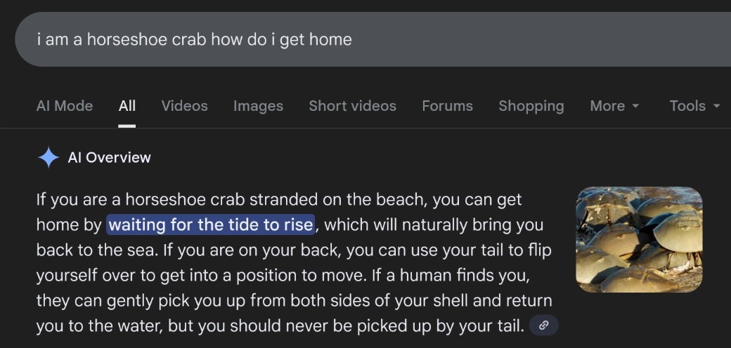 Google Search: "i am a horseshoe crab how do i get home"
AI Overview: "If you are a horseshoe crab stranded on the beach, you can get home by waiting for the tide to rise, which will naturally bring you back to the sea. If you are on your back, you can use your tail to flip yourself over to get into a position to move. If a human finds you, they can gently pick you up from both sides of your shell and return you to the water, but you should never be picked up by your tail."