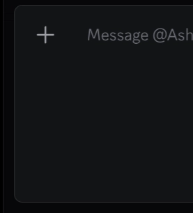 chat box with the placeholder text at the top and text cursor at the bottom and a bunch of fake newlines in between