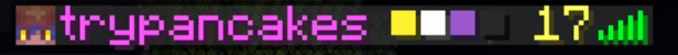 minecraft server player list with my username followed by the nonbinary pride flag