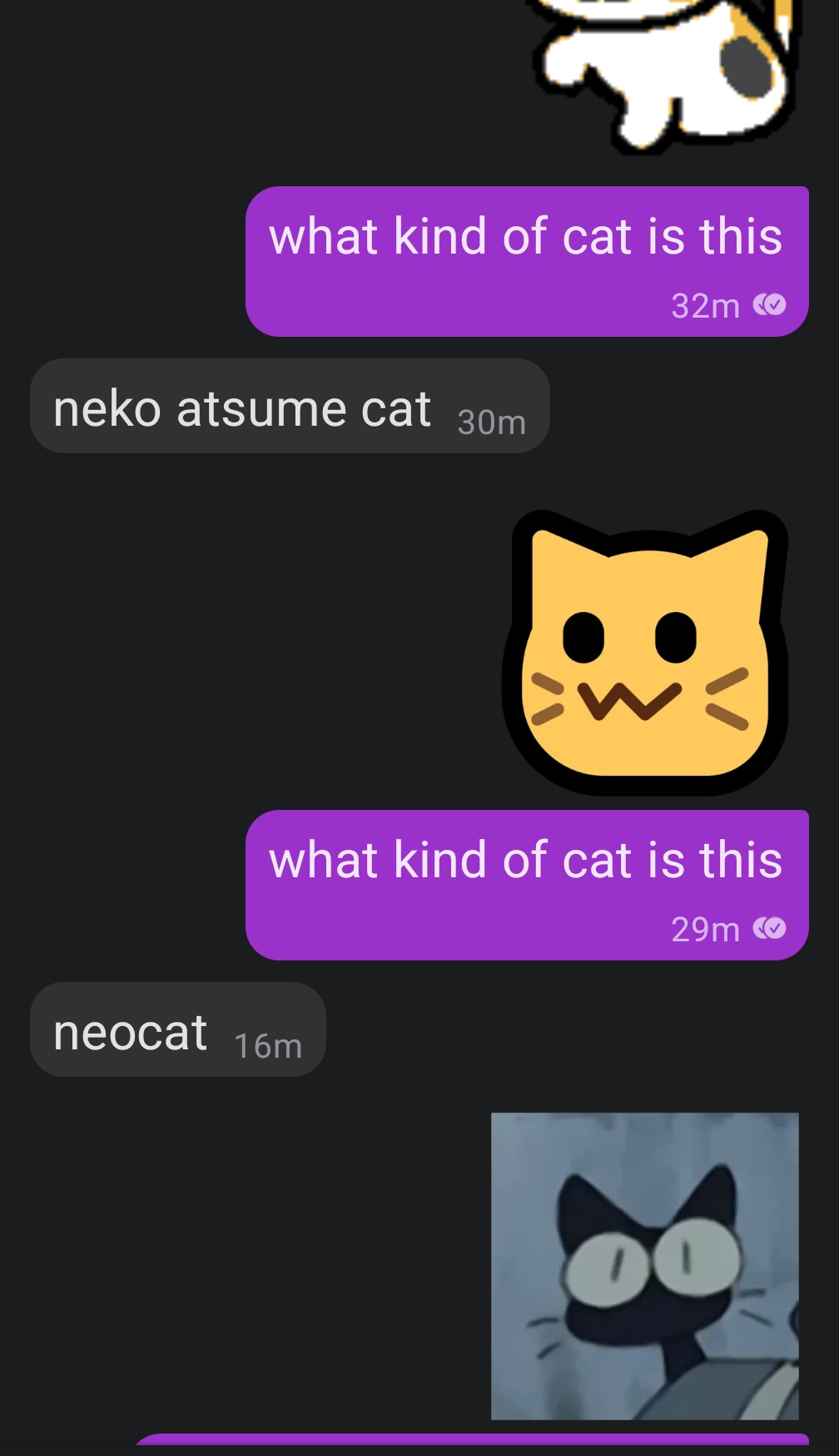 me: (cat play) what kind of cat os this
notfire: neko atsune cat
me: (neocat) ehat kind of cat is this
notfire: neocat
me: (flcl cat) what kind of cat is this