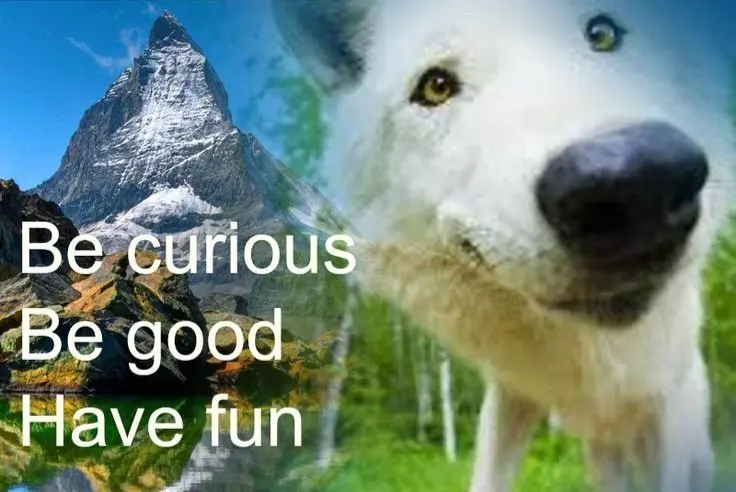 An image of an inquisitive, happy white wolf, photoshopped in front of a forest with a big mountain in the back, saying "Be curious, Be good, Have fun."