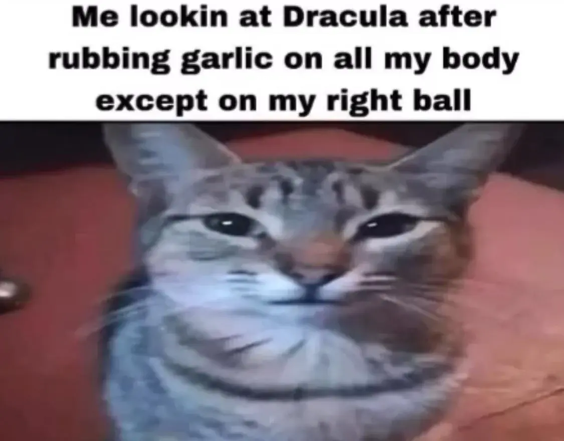 Cat looking at the camera, smugly, with the following top text. "Me lookin at Dracula after rubbing garlic on all my body except on my right ball."