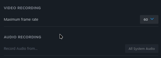 Audio Recording
Record Audio from... [All System Audio]
this option cannot be changed