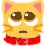 pleading_cat_collar